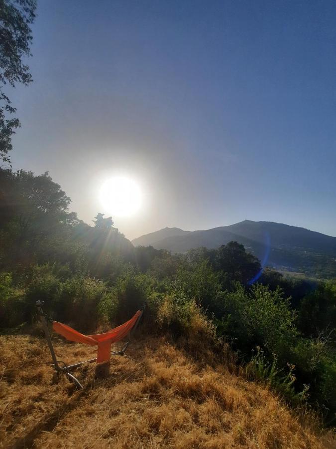 Belvedere D'ajaccio, Entiere Vue Pour 2 à 10 Voyageurs Villa *